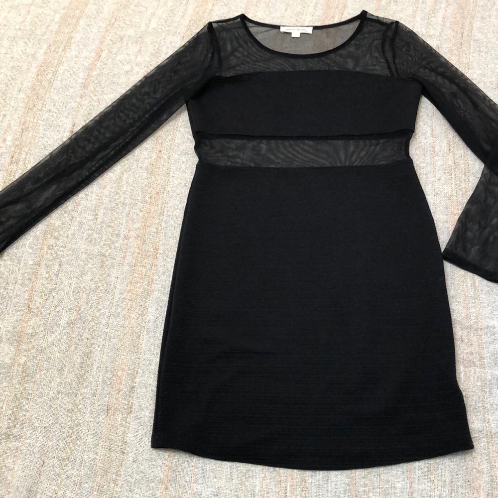 Painted Threads Mesh Dress - Picture 2 of 5